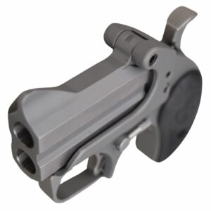 Bond Arms Roughneck