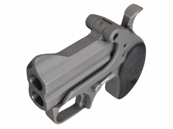 Bond Arms Roughneck