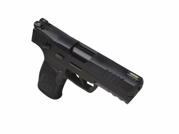 Sig Sauer P322 with Thumb Safety - Image 3