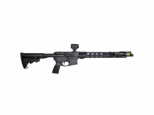 ZRO Delta, Ready Series, .223 Wylde (package)